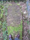 image of grave number 485338